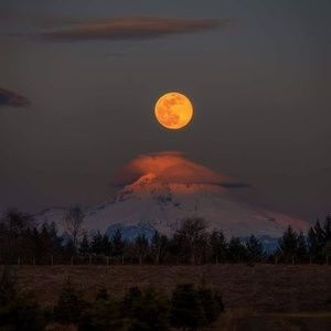 Meet your Posher, Paula